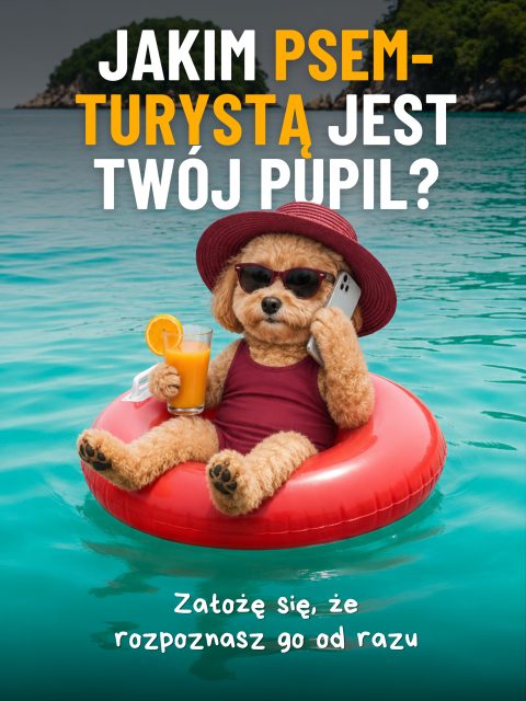 Wakacje potrafią odkryć prawdziwe oblicze psa 😅🐾
Kontroler bagażu, gwiazda Instagrama, a może dusza całego kurortu? Przesuń i znajdź swojego pupila 👉