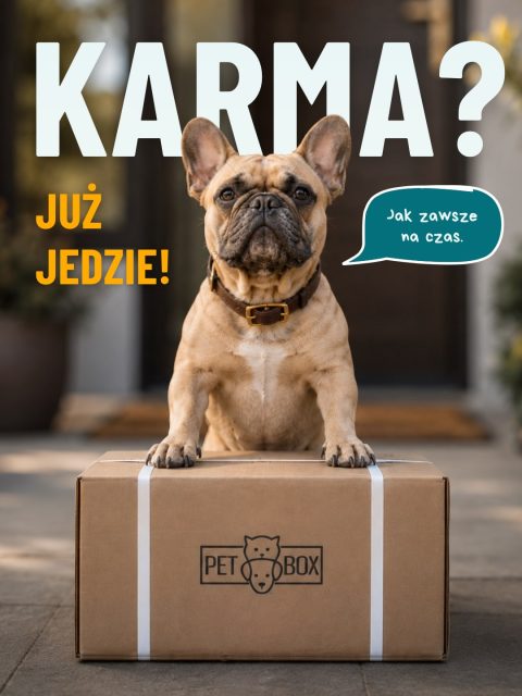Nie twierdzimy, że autodostawa rozwiązuje wszystkie problemy. 😅
Ale z jednym zdecydowanie pomaga - nie trzeba pamiętać, kiedy ostatnio zamawiana była karma. 🐾
Wybierasz produkty, ustawiasz częstotliwość dostaw i gotowe.
Resztą zajmuje się PetBox 📦
A przy okazji wpada:
✨ 10% rabatu na każde zamówienie
🚚 darmowa dostawa
...potraktujmy to jako miły bonus. 😉
Autodostawę ustawisz na naszej stronie. Link znajdziesz w BIO. 🐾