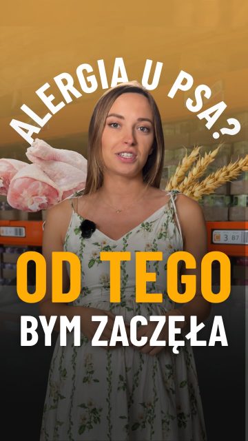 „Zmieniliśmy już trzy karmy i dalej coś jest nie tak”.
To zdanie słyszę naprawdę często.
Przy alergiach pokarmowych chęć szybkiego działania jest całkowicie naturalna. Problem w tym, że im więcej zmian wprowadzamy naraz, tym trudniej znaleźć prawdziwą przyczynę.
Dlatego zamiast zgadywać, wolę działać krok po kroku.
W filmie opowiadam, od czego najczęściej zaczynam szukanie przyczyny problemu 💛