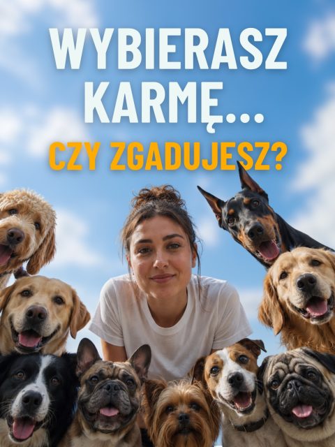 Weterynarz mówi jedno, internet drugie, a znajoma „bo jej psu pomogło”, trzecie.
I im dłużej zastanawiasz się nad odpowiednią dietą dla pupila, tym bardziej się gubisz. 🙈
Znamy to aż za dobrze. Dlatego zamiast wciskać Ci „najlepszą karmę”, oferujemy coś sensowniejszego - darmową konsultację dietetyczną z zoodietetykiem, który ułoży jadłospis pod Twojego zwierzaka, jego wiek, wagę, alergie i humorki brzucha. 🐾
Zamiast dziesięciu sprzecznych opinii - jedna konkretna odpowiedź. Po konsultacji wiesz dokładnie: co podawać, w jakich porcjach i czego nie mieszać. Zero zgadywania.
👆 Link do darmowej konsultacji masz w naszym BIO. Klikasz, zapisujesz się i gotowe.