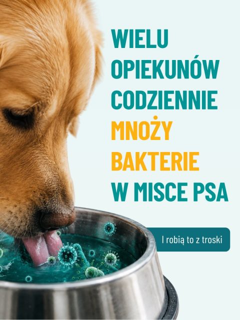 Codziennie wymieniasz psu wodę? 👀
To super. Ale wiele osób nadal popełnia przy tym jeden bardzo popularny błąd.

I właśnie o tym jest ta karuzela 💛