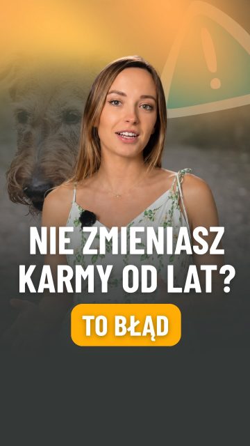 Twój pies skończył 8 lat i nadal je to samo co przez całe życie?

Starszy pies ma wolniejszy metabolizm, wrażliwsze nerki i stawy, które potrzebują wsparcia. A większość karm dla seniorów to po prostu ta sama karma z mniejszą ilością kalorii.

W PetBox znajdziesz karmy, które naprawdę odpowiadają na potrzeby starszego psa. Sprawdź link w bio 💛