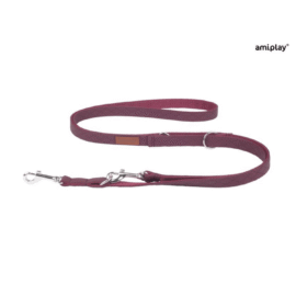 Smycz 6 in 1 Cambridge 1-2m Bordowy