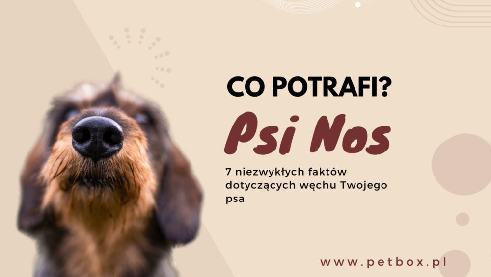psi nos
