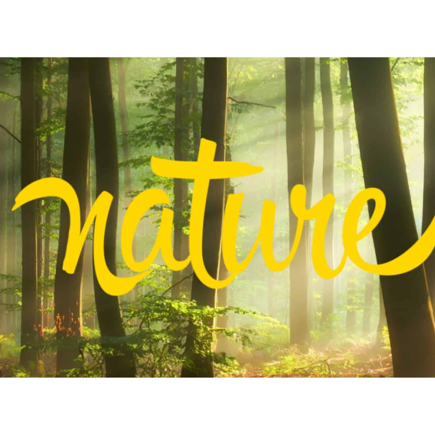 Nature Lamb Natural Grain Free Holistic - obrazek 2
