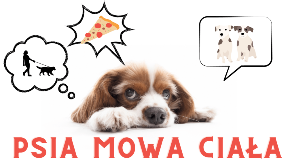 psia mowa ciała