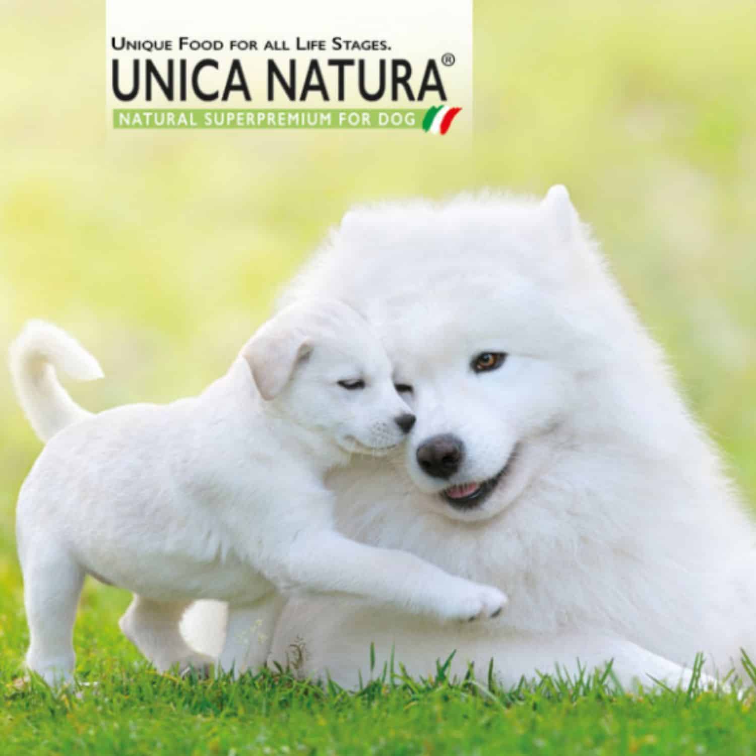 Unica Natura Unico Mini Venison - Dziczyzna (Rasy Mini) - obrazek 4
