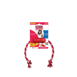 Kong Dental S