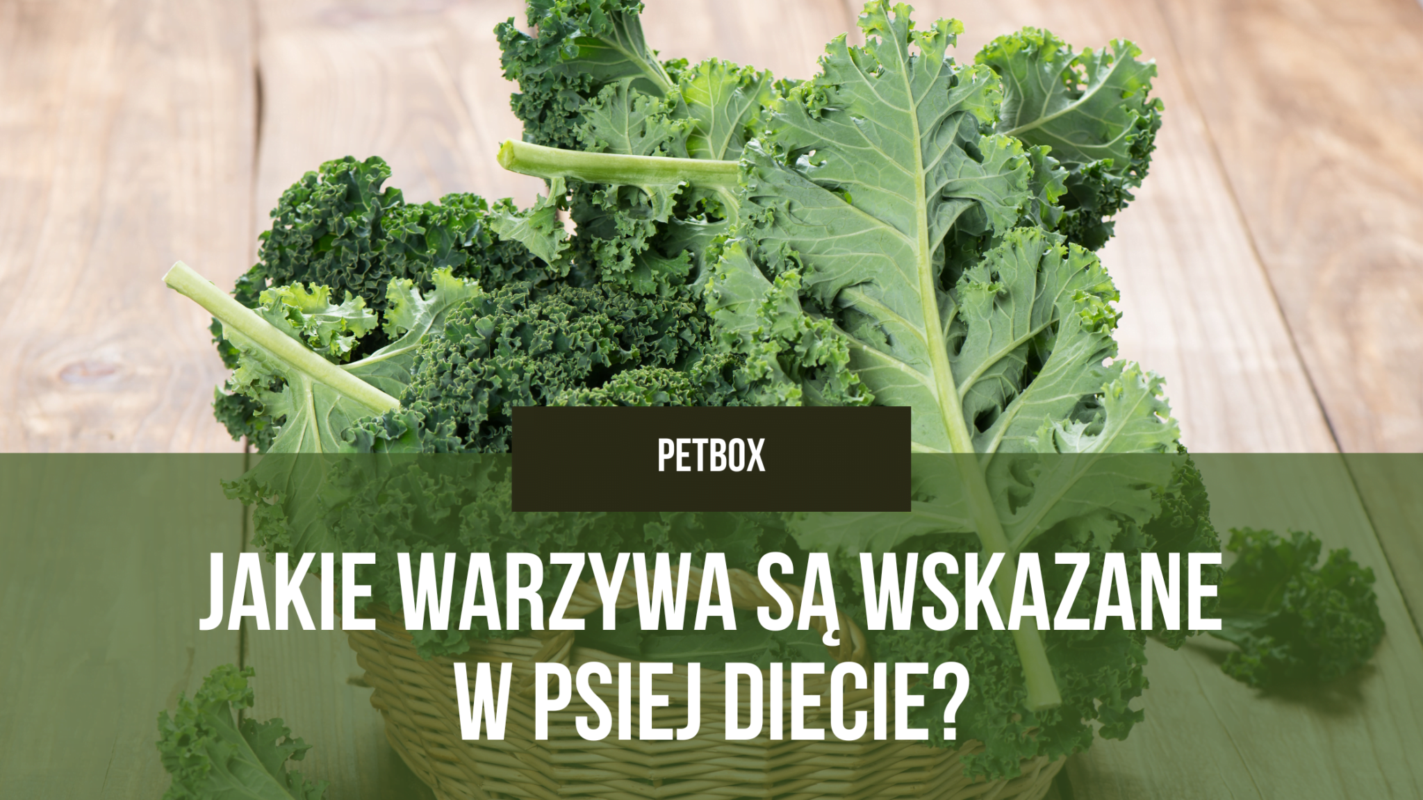Jakie warzywa są wskazane w psiej diecie