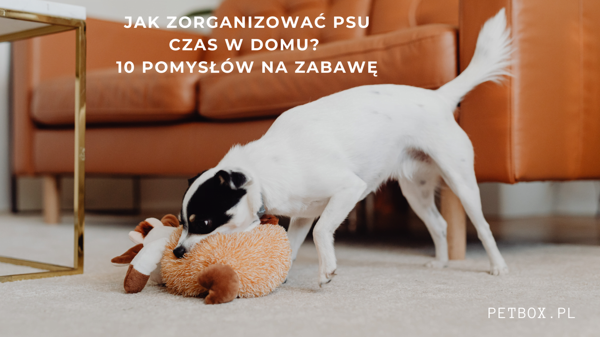 POMYSŁY NA ZABAWE