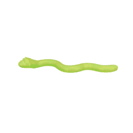 wąż