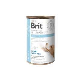 brit