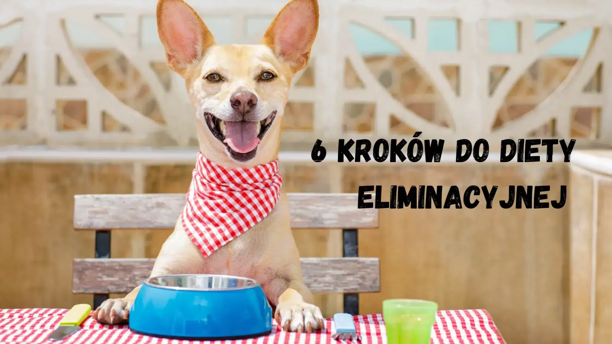 Dieta-eliminacyjna-u-psa