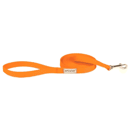 Amiplay Smycz Treningowa Samba Pomarańczowa 5m