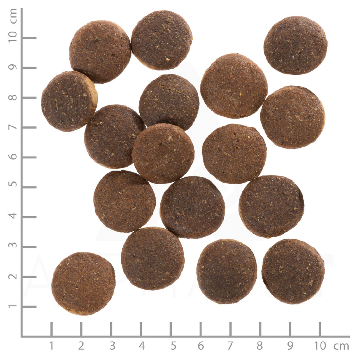 Wolfsblut Dog Red Rock - Kangur & Bataty - obrazek 2