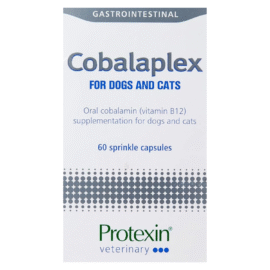 Cobalaplex - kwas foliowy i B12 dla psa/kota (probiotyk) 60 sztuk