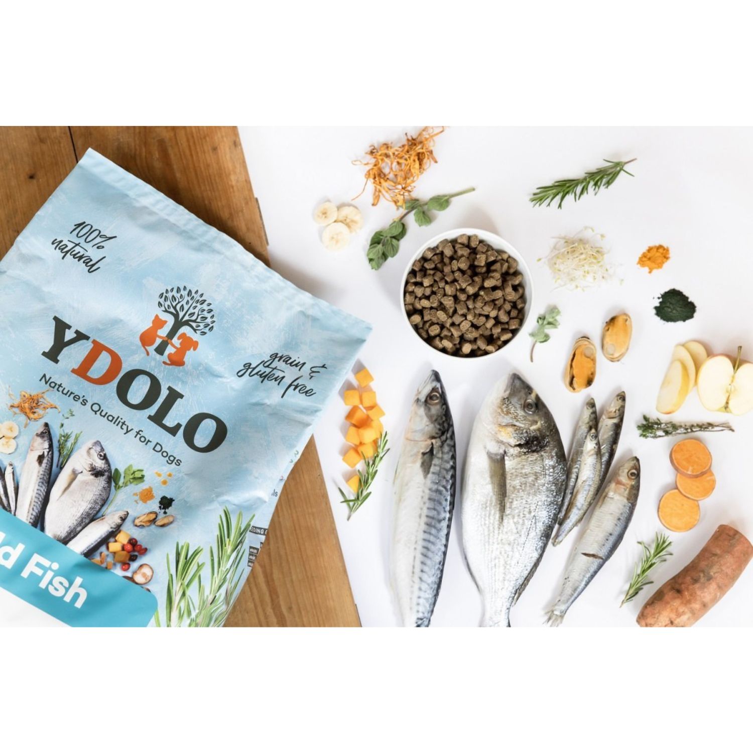 YDOLO Wild Fish Ryby Morskie - Półwilgotna - obrazek 5