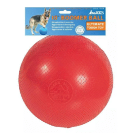 Boomer Ball Twarda Piłka Dla Psa