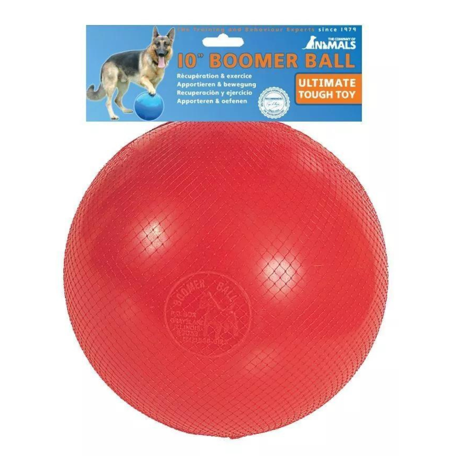 Boomer Ball Twarda Piłka Dla Psa