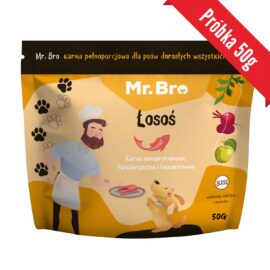 Próbka Mr.Bro Łosoś Sucha Karma Dla Psów Dorosłych 50g