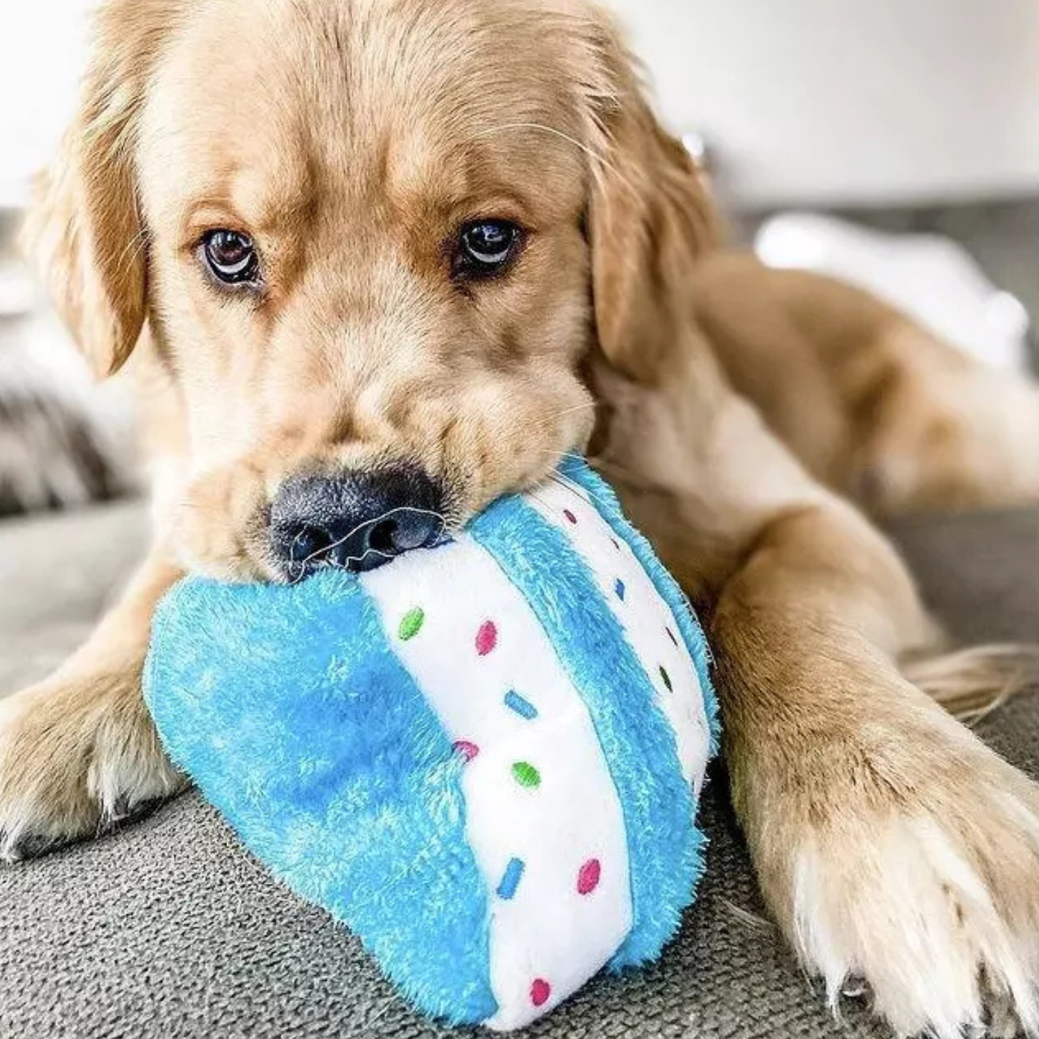 ZippyPaws Pluszowy Tort Niebieski 18cm - obrazek 2