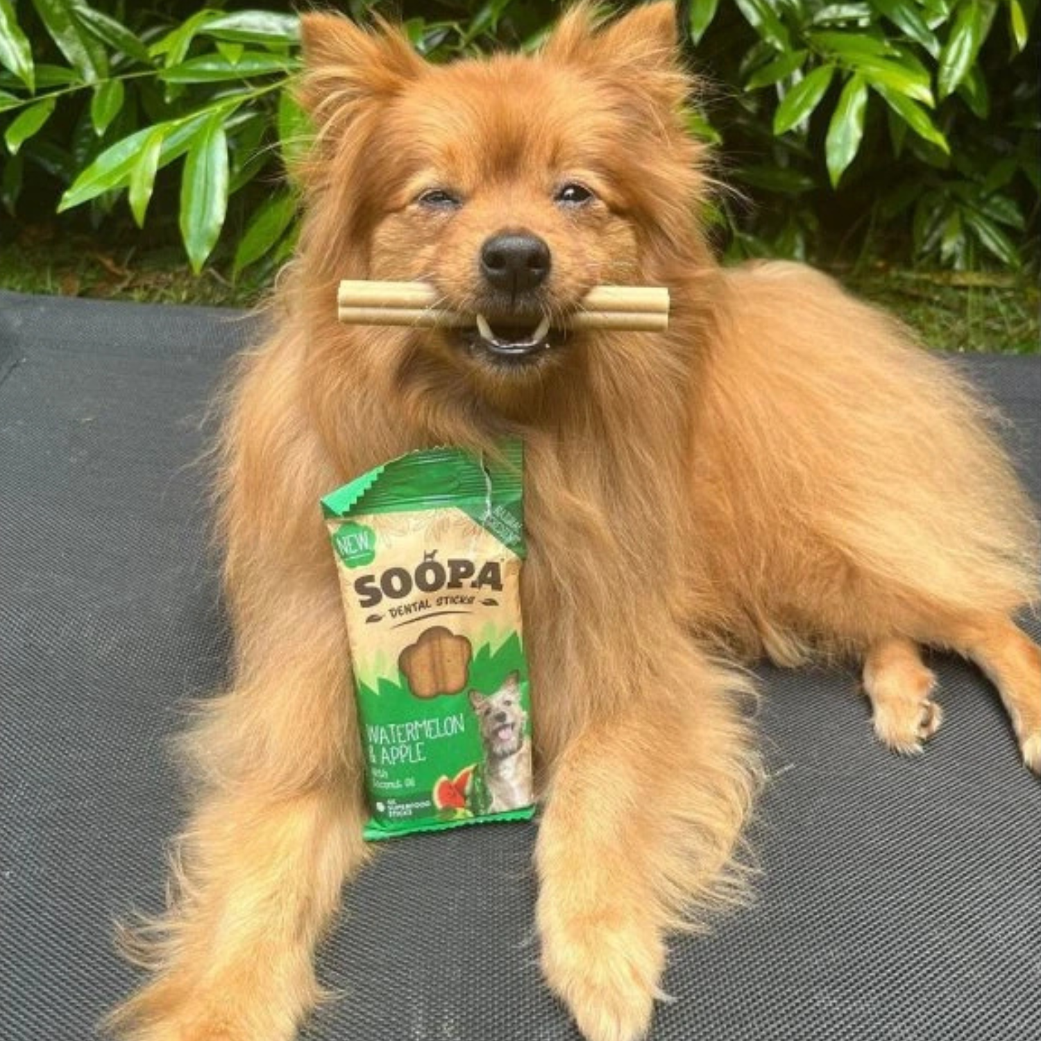 Soopa Dental Sticks Arbuz & Jabłko 100g - obrazek 3